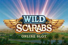 Wild Scarabs